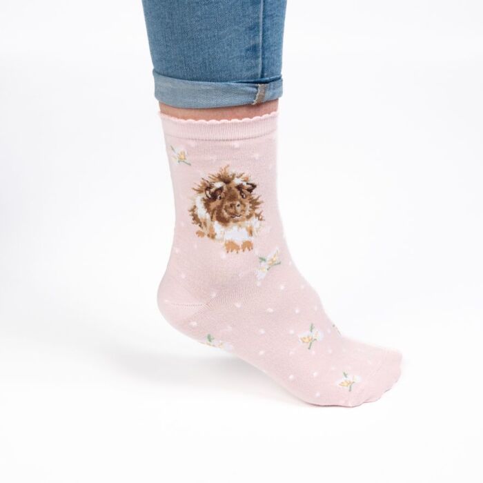 Wrendale Designs "Grinny Pig" Guinea Pig Socks